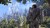 The Elder Scrolls Online Summerset PC