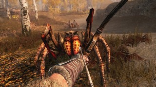 The Elder Scrolls V Skyrim Nintendo Switch
