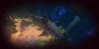 Feed and Grow Fish PC