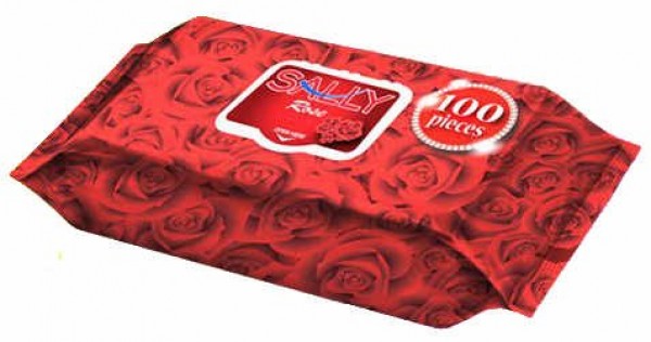 Sally Islak Mendil (100 Yaprak)