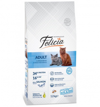 Felicia Somonlu Adult 12 kg resim