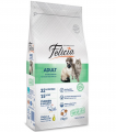 Felicia Tavuklu Hamsili Adult 2 kg resim