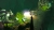 Diablo III Eternal Collection Xbox