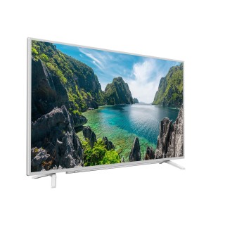 Beko B49L 8840 5W Ultra HD (4K) TV