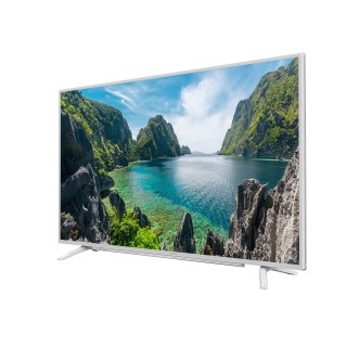 Beko B49L 8840 5W Ultra HD (4K) TV