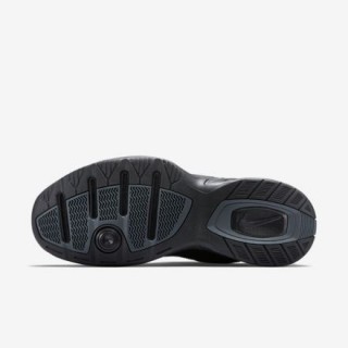 Nike Air Monarch IV Erkek Spor Ayakkabı