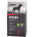 Golosi Energy Adult Tavuk ve Sığır Etli 12 Kg resim