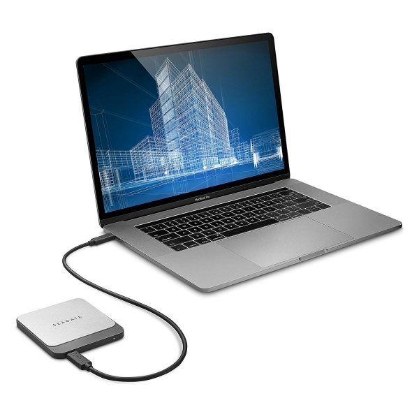 Seagate Fast SSD SSD (1 TB)