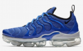 Nike Air VaporMax Plus (924453-404) Erkek Spor Ayakkabı