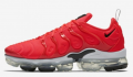 Nike Air VaporMax Plus (924453-602) Erkek Spor Ayakkabı