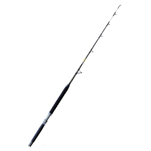 Lineaeffe FF Islamorada Stund Up 170 cm 20-30 ls Kamış