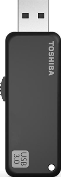Toshiba U365 Flash Bellek (256 GB)