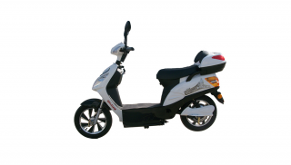 Apachi Kitty Scooter