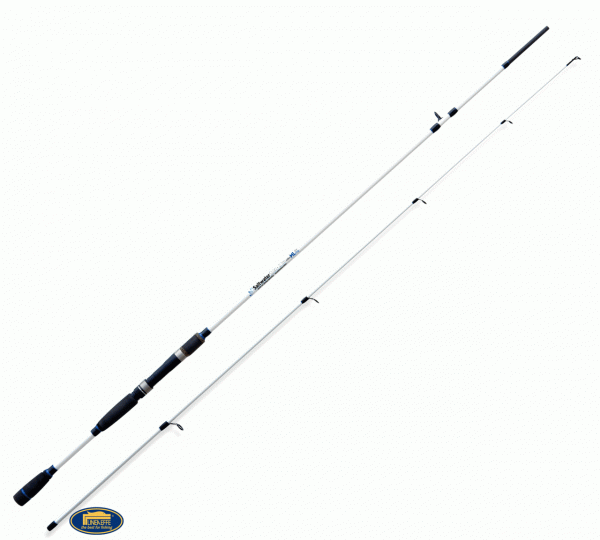 Lineaeffe Saltwater Spin 300 cm 70 gr Kamış