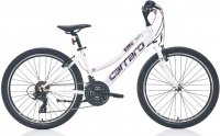 Carraro Speed 242 resim