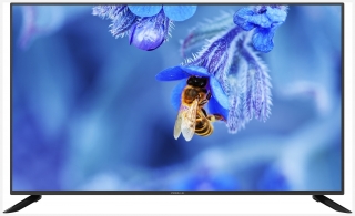 Profilo 43PA315E Full HD (FHD) TV