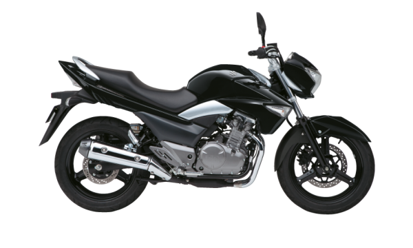 Suzuki Inazuma GW250 Naked