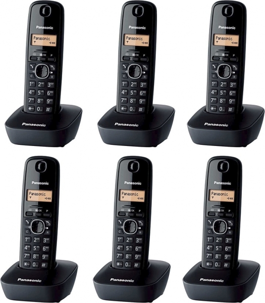 Panasonic KX-TG1616 Telsiz Telefon (6 ahize)