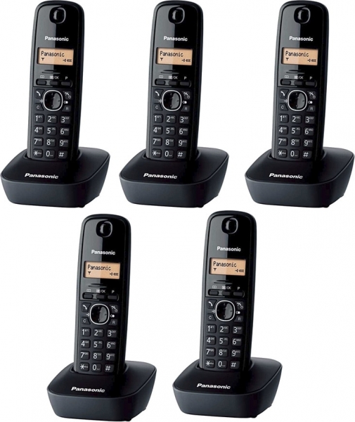 Panasonic KX-TG1615 Telsiz Telefon (5 ahize)