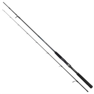 Daiwa Tournament SW AGS 14-42 GR 244 cm Kamış