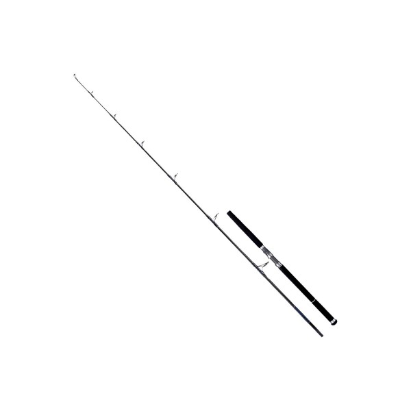 Daiwa Saltiga Giant Travel 260 cm Kamış