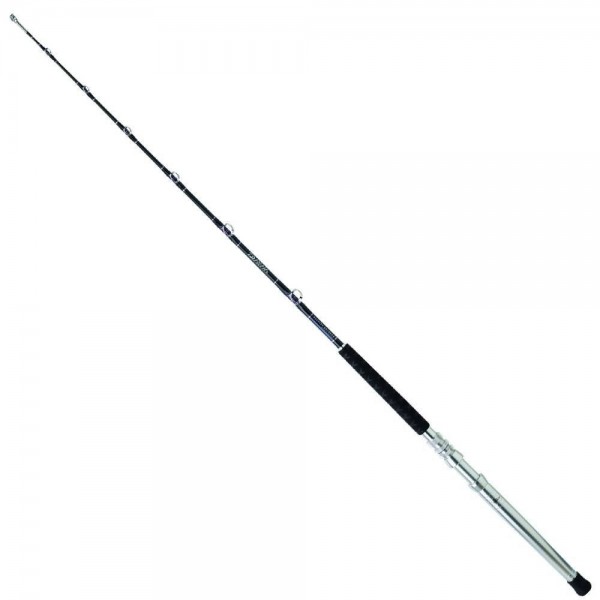 Daiwa Saltist Extreme 170 cm Kamış