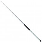 Daiwa Saltist Extreme 170 cm resim