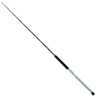 Daiwa Saltist Extreme 170 cm Kamış