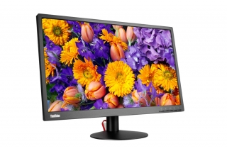 Lenovo ThinkVision E24-10 Monitör
