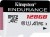Kingston High Endurance microSD