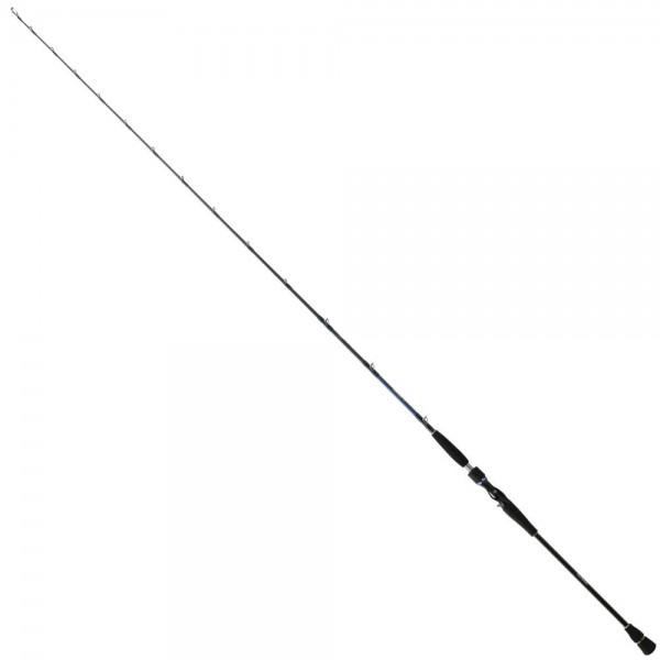 Daiwa Saltiga BJ 70-150 Gr 193 Cm Kamış