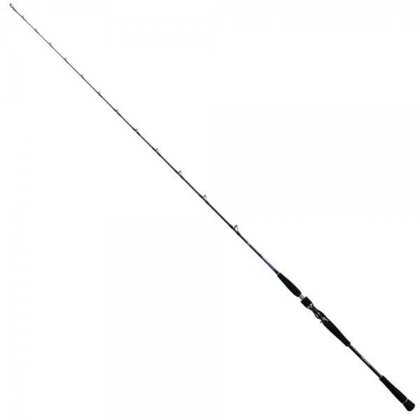 Daiwa Saltiga BJ 180gr 193 Cm Kamış