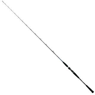 Daiwa Saltiga BJ 180gr 193 Cm Kamış
