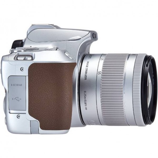 Canon EOS 250D 18-55mm DSLR Fotoğraf Makinesi (18-55 mm)