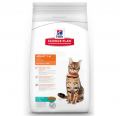Hill's Science Plan Adult Ton Balıklı 2 kg resim