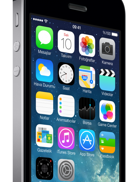 Apple iPhone 5s (64 GB)