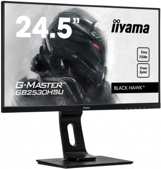 Iiyama G-Master GB2530HSU-B1 Monitör