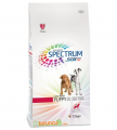 Spectrum	Ultra Premium Puppy Large Breed 12 kg resim