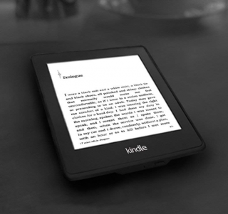 Amazon Kindle Paperwhite 2