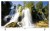 Sunny SN32DIL3037-B HD Ready (HD) TV