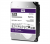WD Purple HDD