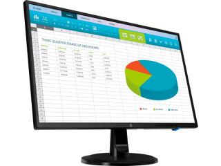 HP N246v (3NS59AA) Monitör