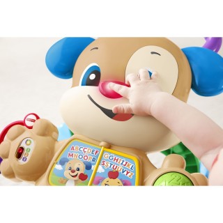 Fisher Price Eğitici Köpekçik