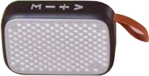 Platoon PL-4448 Bluetooth Hoparlör