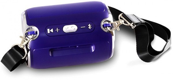 Platoon PL-4146 Bluetooth Hoparlör