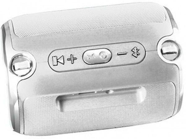 Platoon PL-4146 Bluetooth Hoparlör