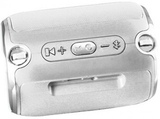 Platoon PL-4146 Bluetooth Hoparlör