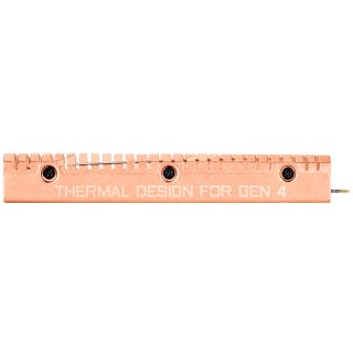 Gigabyte Aorus NVMe Gen4 SSD