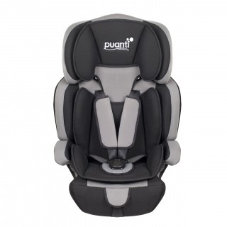 Puanti AND1006 Driver Oto Koltuğu