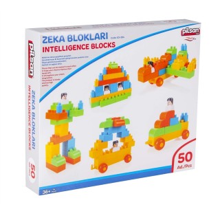 Pilsan Zeka Blokları Kutulu 50 Parça